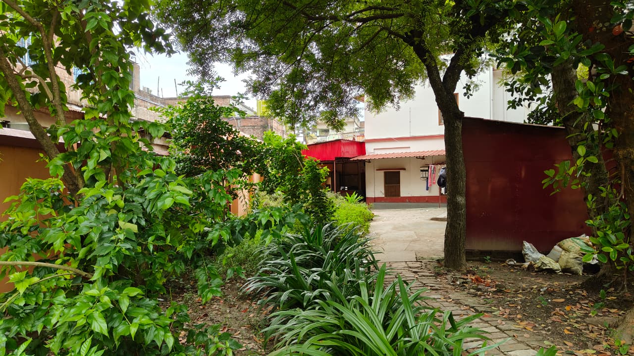 Garden and grounds